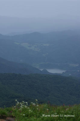 100713_016w.JPG