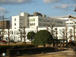 kyushumatsushita-m.JPG