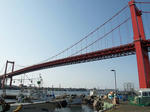 P5316485-m.JPG