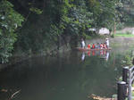 IMG_9736-m.JPG