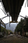 chichi005.jpg