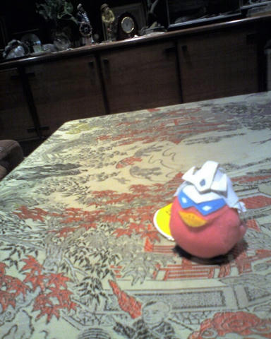 img246.jpg