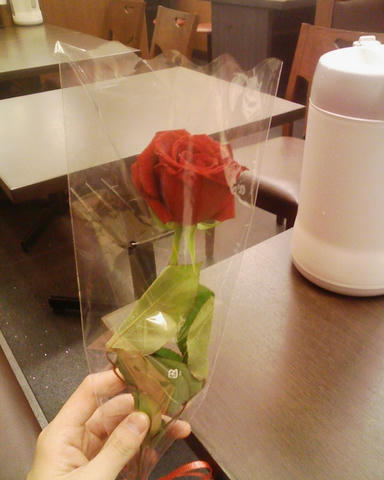 rose.jpg