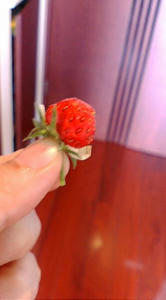 F1000093.JPG