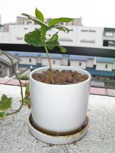 e0741f56.JPG