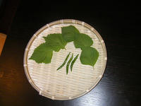 SANY0126.JPG