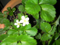 SANY0333.JPG