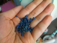 SANY0342.JPG