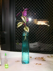 SANY0421.JPG