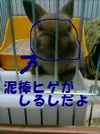 1187535849.jpg
