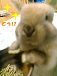 20071030214603.jpg