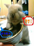 20071030214526.jpg
