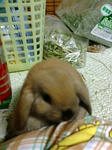 20071116210310-9.jpg
