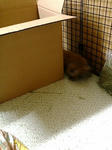 20071117224646.jpg
