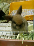 20071021223620.jpg