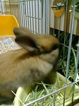 20071021223517.jpg