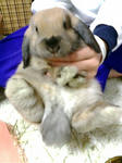 20071127215837.jpg