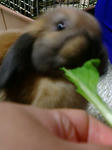 20071128221743.jpg
