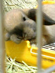 20071208231324.jpg