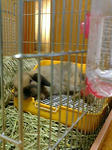 20071208231348.jpg