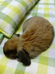 20071209234708.jpg