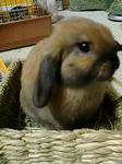 20071220231006-3.jpg