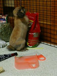 20071220231105-1.jpg