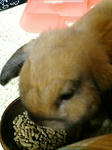 20071221001207.jpg