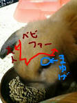 20071221001207-1.JPG