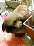 20071223065042.jpg