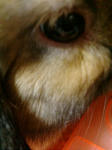 20071223065224.jpg