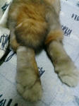 20080124232453.jpg