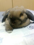 20080125230234.jpg