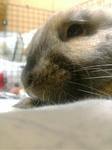 20080125230758.jpg