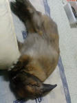 20080215222319.jpg