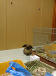 20080217220942.jpg