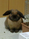 20080217221002.jpg