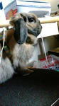 20080310163816.jpg