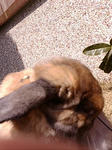 20080318122035.jpg