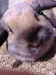 20080318122043.jpg