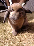 20080318122339.jpg