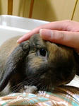 20080417002413.jpg