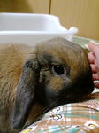 20080417002528.jpg