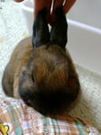 20080417002553.jpg