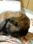 20080417002710.jpg