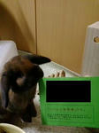 20080417194247.jpg