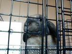 20080507124847.jpg