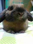 20080514002021.jpg