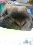 20080514002046.jpg