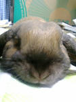 20080514002102.jpg